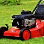 Breathing New Life Into Your Lawn